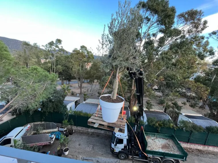 Aménager un petit jardin de 10m2, Cavalaire-sur-Mer, GUILBOT ÉLAGAGE