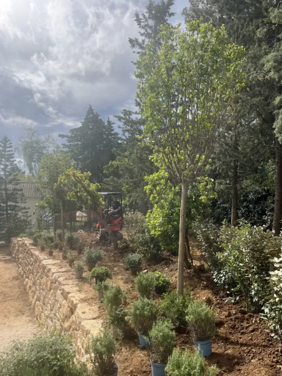 Création de jardin à Cavalaire sur mer, Cavalaire-sur-mer, GUILBOT ÉLAGAGE