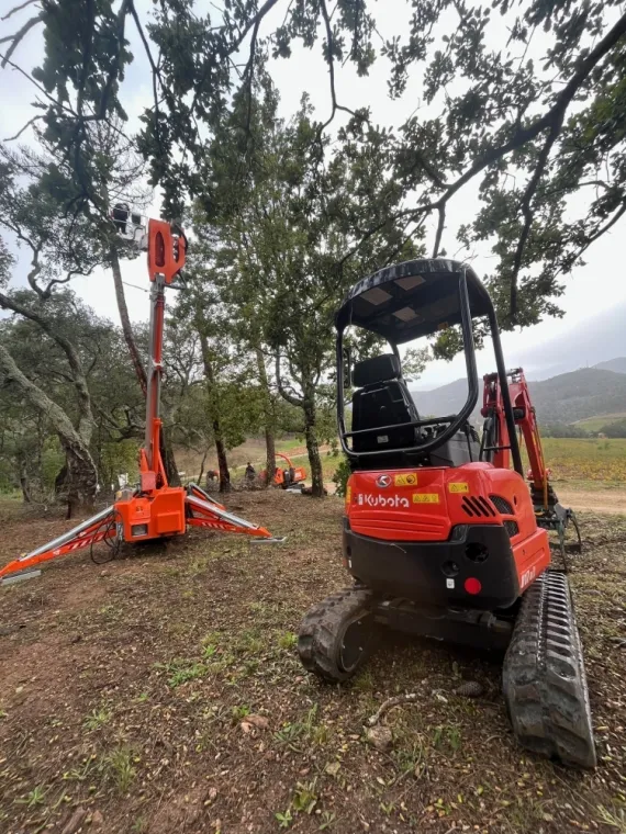 Travaux forestier à Grimaud, Cavalaire-sur-mer, GUILBOT ÉLAGAGE