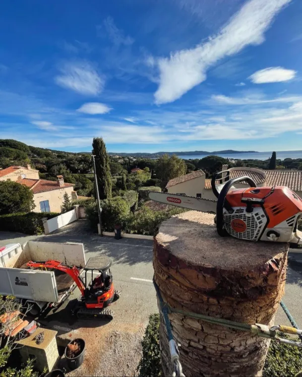 Abattage d’un palmier à Cavalaire sur mer, Cavalaire-sur-mer, GUILBOT ÉLAGAGE