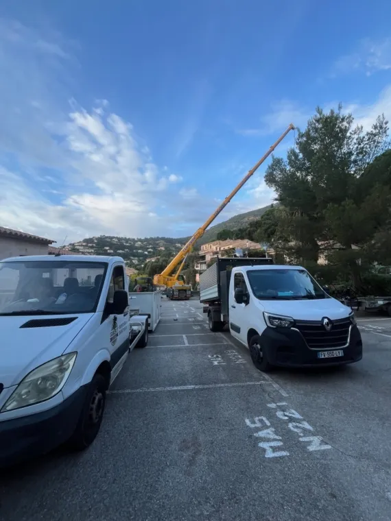 Abattage délicat à cavalaire sur mer, Cavalaire-sur-mer, GUILBOT ÉLAGAGE