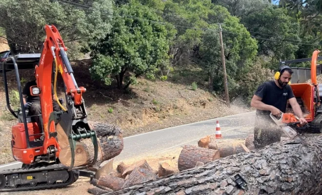 Abattage délicat avec grutage à Cavalaire sur mer , Cavalaire-sur-mer, GUILBOT ÉLAGAGE